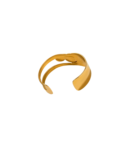 Brown Bangle